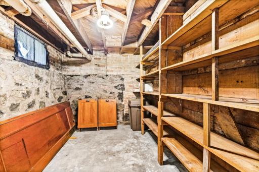 Basement Storage (note doors and original dry bins for Butler's Pantry, and blue stone and brick foundation)