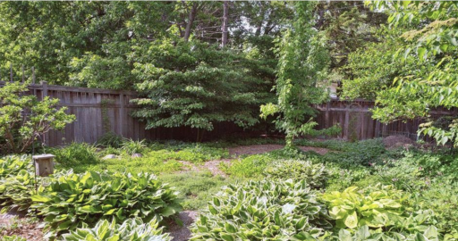 5004 Yvonne Terrace, Minneapolis, MN 55436