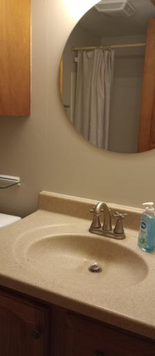 Bathroom sink