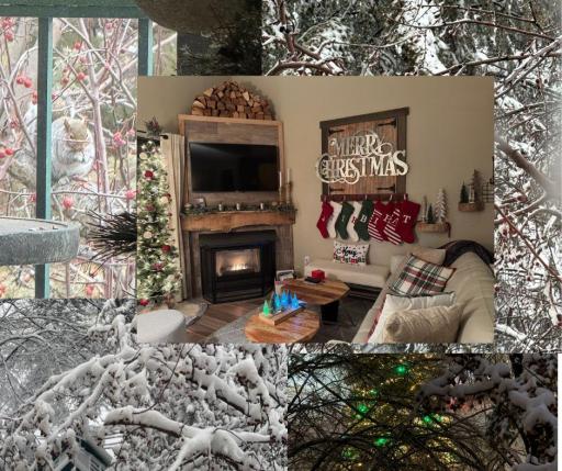 Check out what CHRISTMAS could look like!!