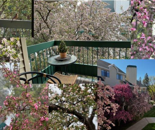 Spring colors you will take in right off your porch!