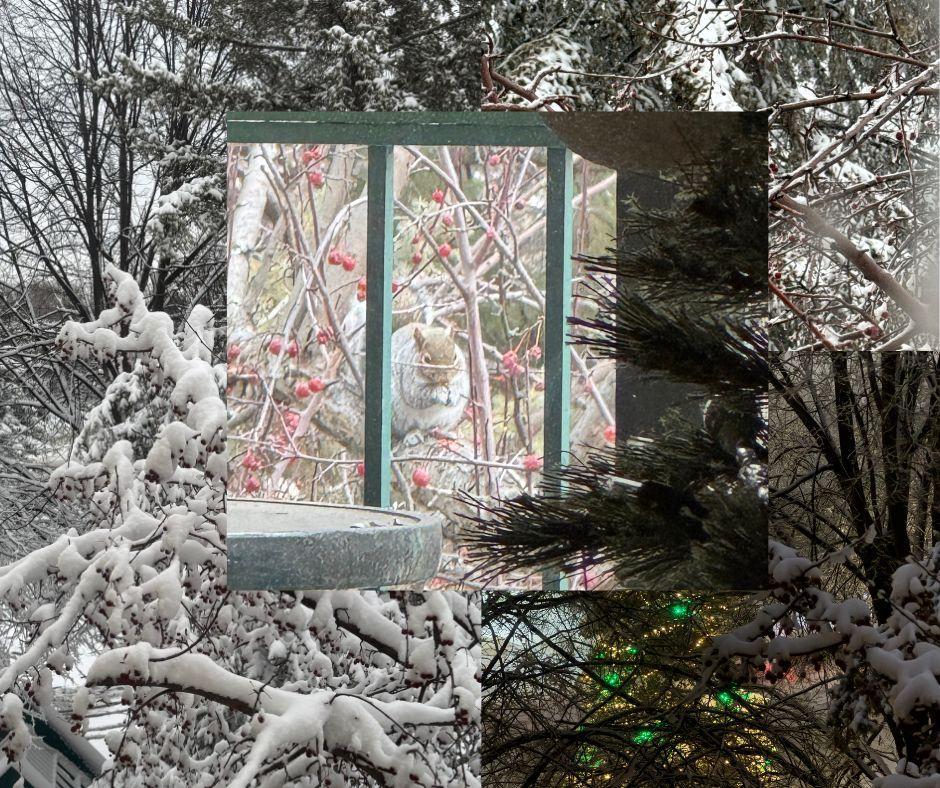 Right outside your window!