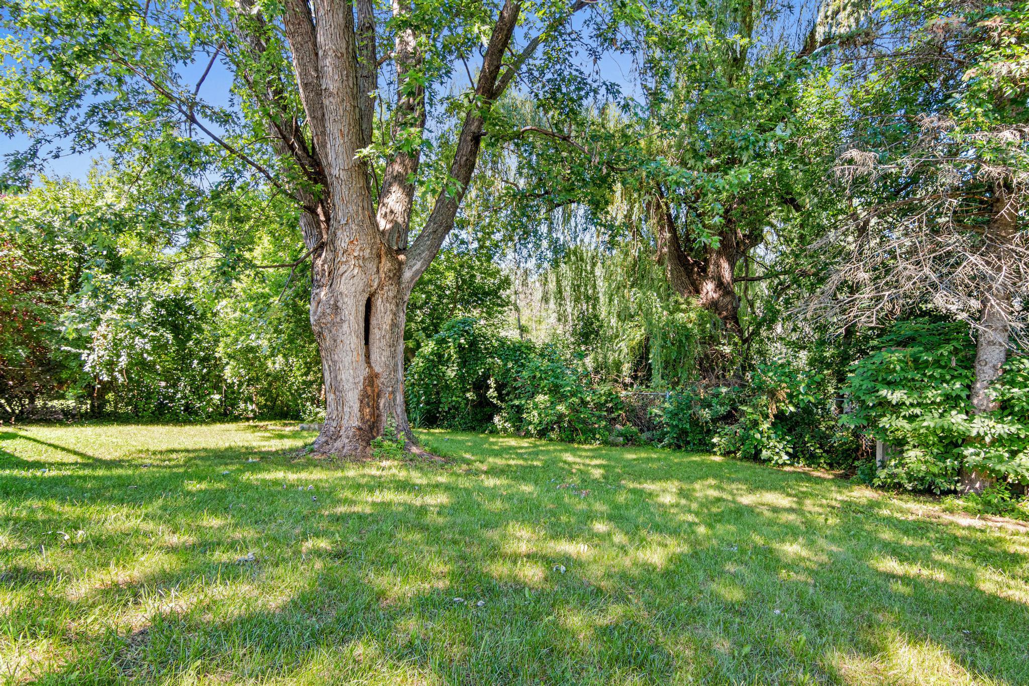 3635 12th Ave, Anoka, MN-29.jpg