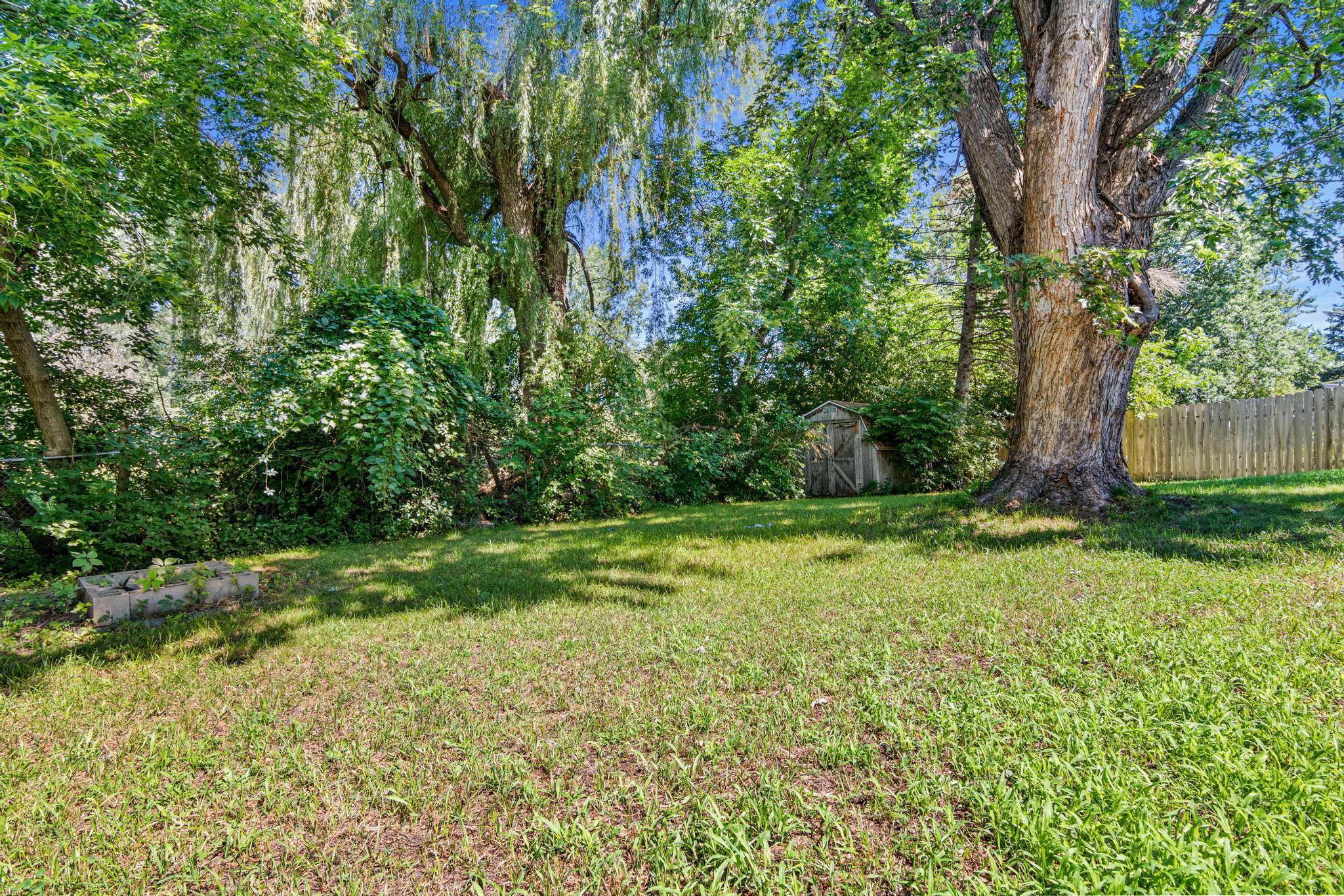 Huge private fenced backyard