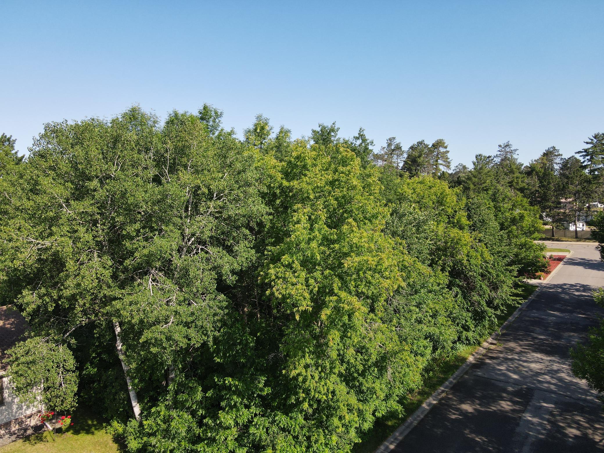 DJI_0559.JPG