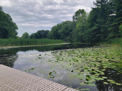 Thaine's River looking to the SW which brings you to Mille Lacs Lake. Quiet waters for your pontoon or fishing boat to stay.