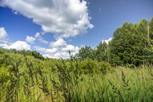 22415 Wilderness Drive, Verndale, MN 56481