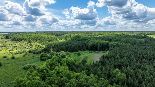 22415 Wilderness Drive, Verndale, MN 56481