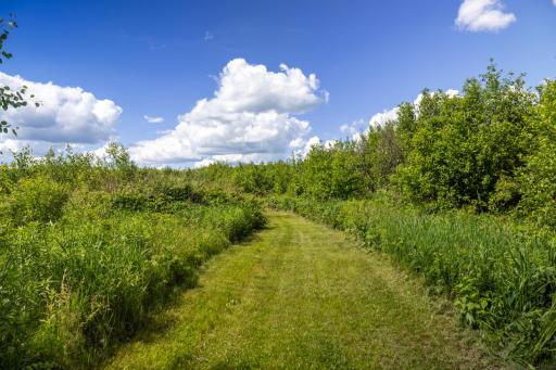 22415 Wilderness Drive, Verndale, MN 56481
