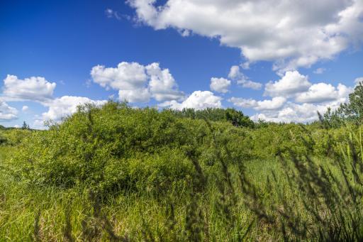 22415 Wilderness Drive, Verndale, MN 56481