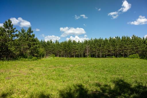 22415 Wilderness Drive, Verndale, MN 56481