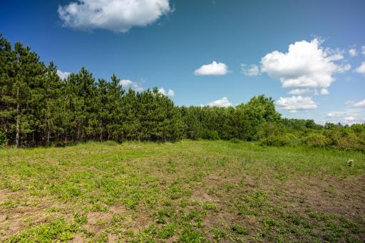 22415 Wilderness Drive, Verndale, MN 56481