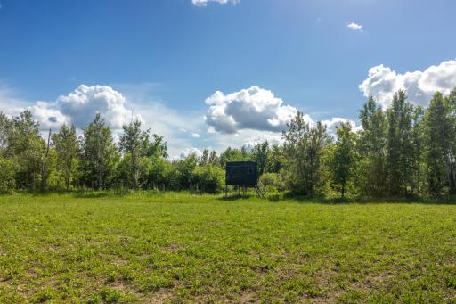 22415 Wilderness Drive, Verndale, MN 56481
