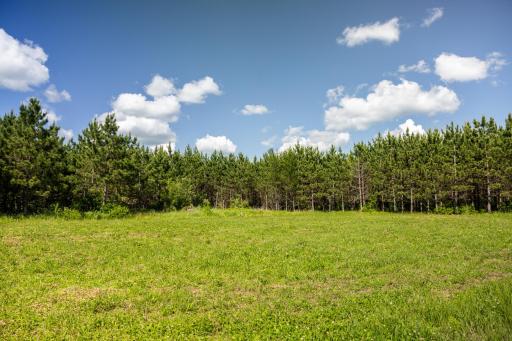 22415 Wilderness Drive, Verndale, MN 56481