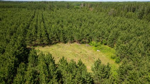 22415 Wilderness Drive, Verndale, MN 56481