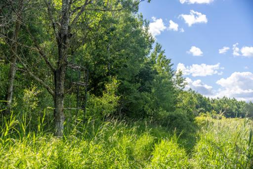 22415 Wilderness Drive, Verndale, MN 56481