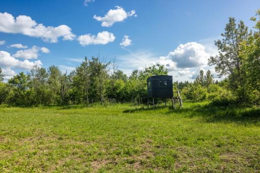 22415 Wilderness Drive, Verndale, MN 56481