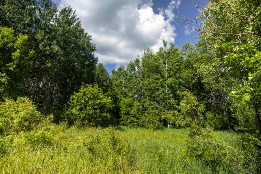 22415 Wilderness Drive, Verndale, MN 56481