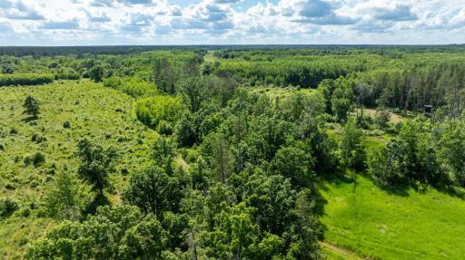 22415 Wilderness Drive, Verndale, MN 56481