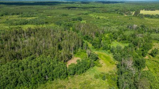 22415 Wilderness Drive, Verndale, MN 56481