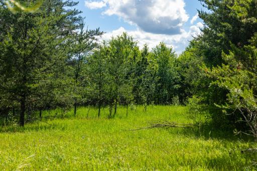 22415 Wilderness Drive, Verndale, MN 56481