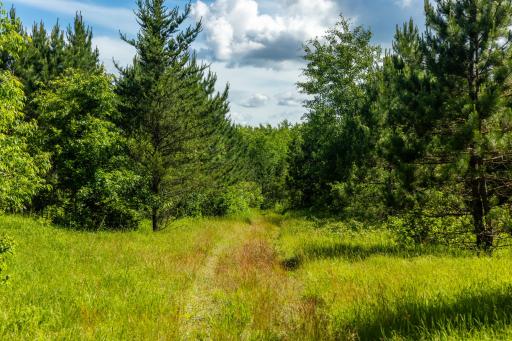 22415 Wilderness Drive, Verndale, MN 56481