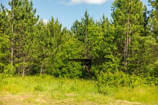 22415 Wilderness Drive, Verndale, MN 56481