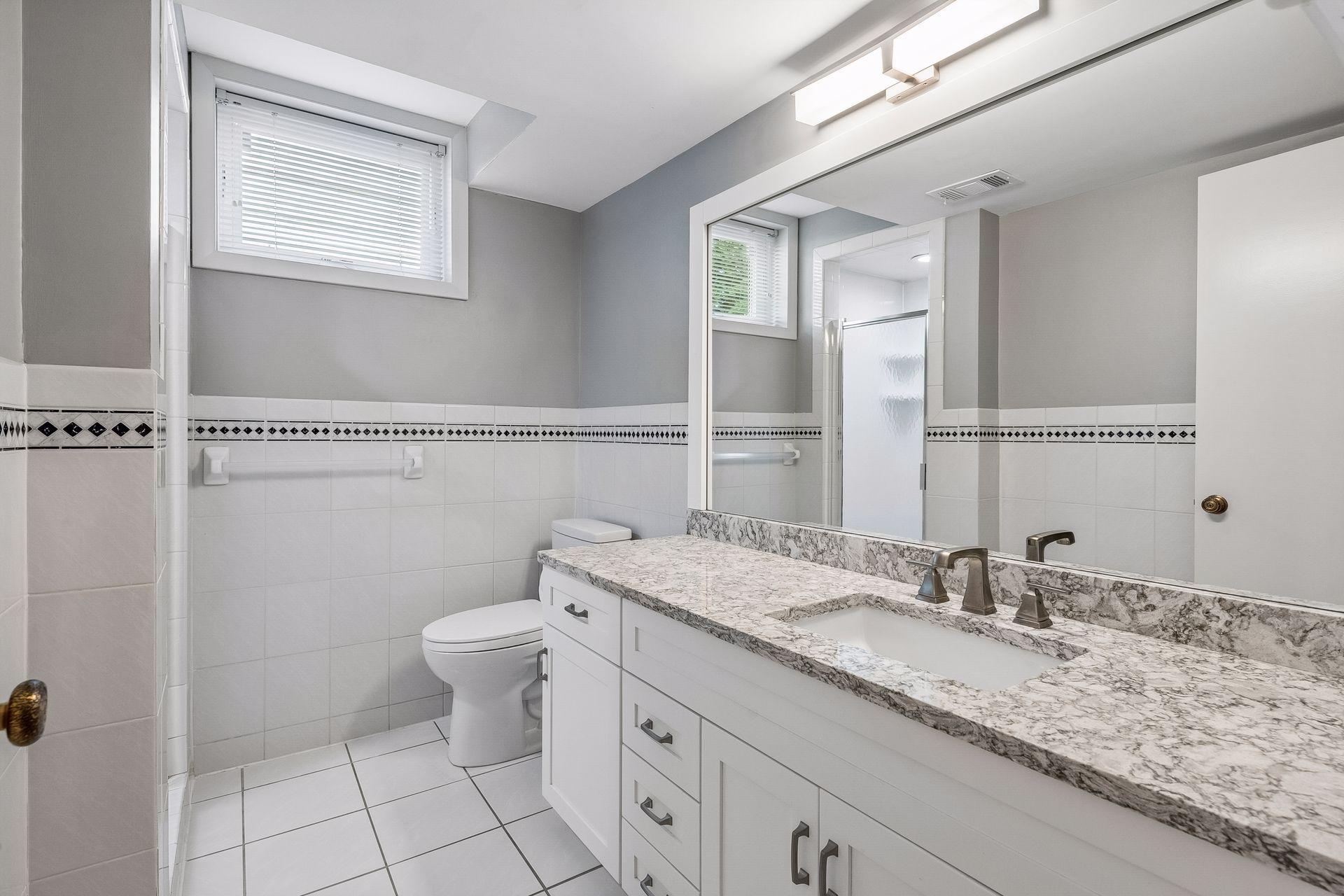 Lower level bathroom