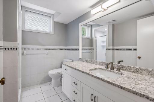 Lower level bathroom