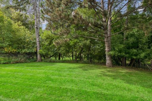Twin Lakes park is behind the woods--no homes!