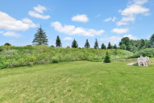 10813 Hinton Avenue S, Cottage Grove, MN 55016