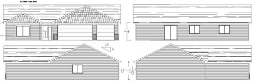 282 Three Lakes Dr Madison Lake Front Elevation.jpg