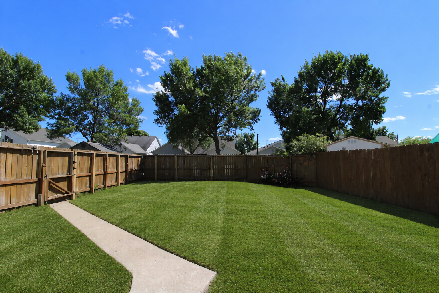 BackYard1edit.png