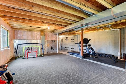 Room for a full home gym, sports nets, and more; the footprint down here is enormous.