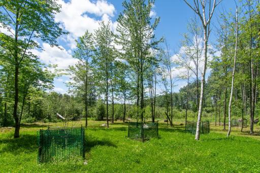 15415 Goshawk Street, Tamarack, MN 55787