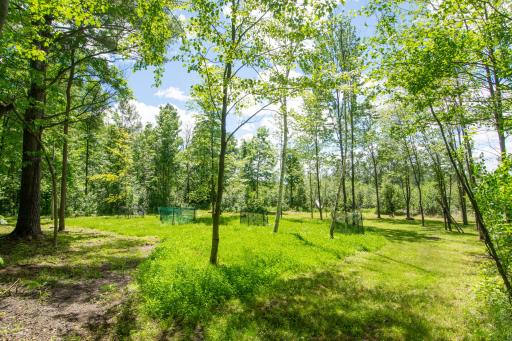 15415 Goshawk Street, Tamarack, MN 55787