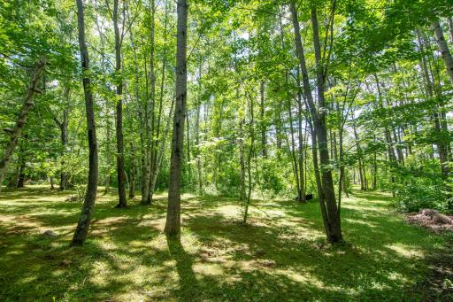 15415 Goshawk Street, Tamarack, MN 55787