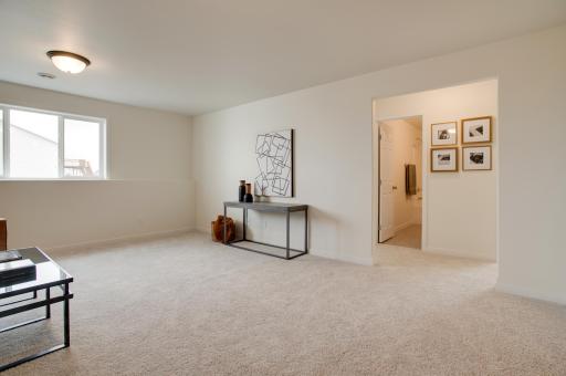 Lower level family room