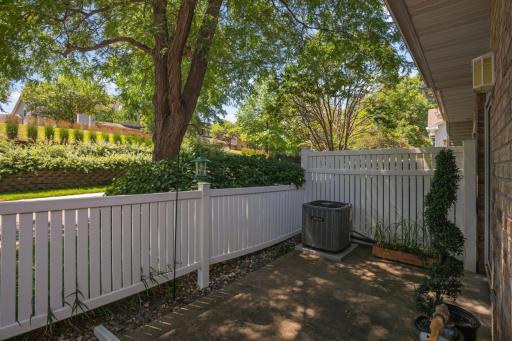 Nature filled patio, no neighbors across the street!
