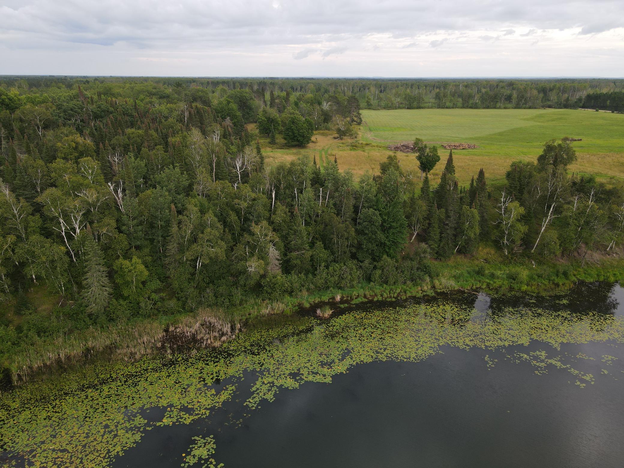 LOT C SHORELINE