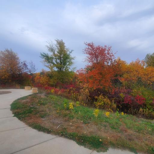 Pete's Hill down the street.jpg