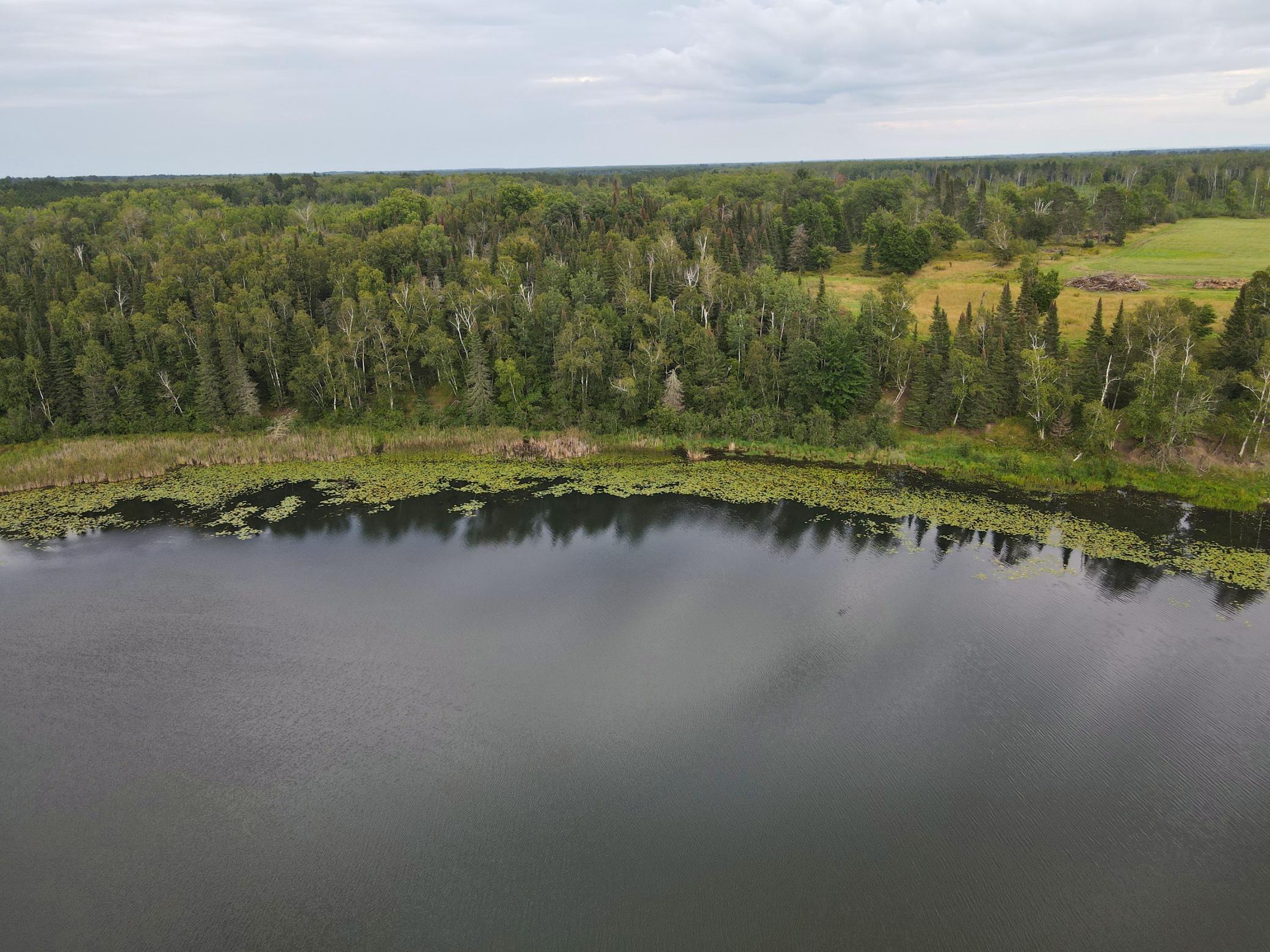 LOT D SHORELINE