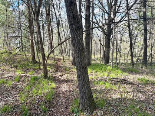 TBD County Line Avenue, Clear Lake, WI 54005