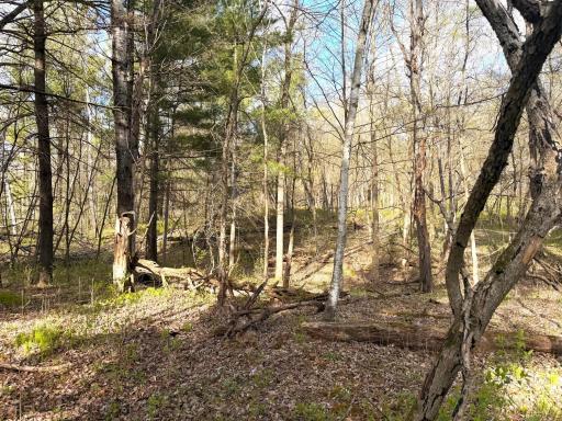 TBD County Line Avenue, Clear Lake, WI 54005