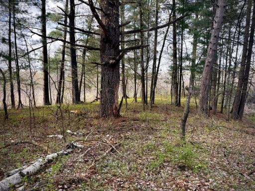 TBD County Line Avenue, Clear Lake, WI 54005