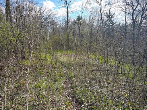 TBD County Line Avenue, Clear Lake, WI 54005