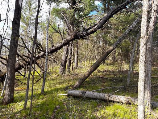TBD County Line Avenue, Clear Lake, WI 54005