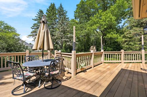 4819_137th_Street_West_Apple_Valley_MN_USA_052.jpg