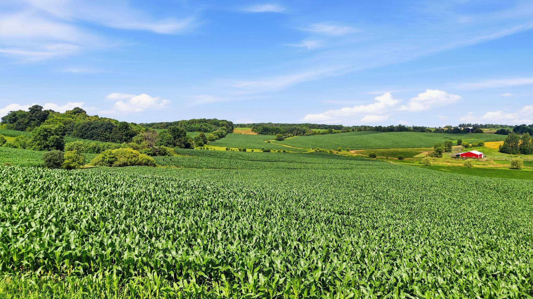 55 Acres!