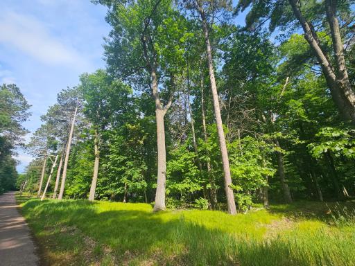 TBD Whitefish Avenue, Cross Lake, MN 56442